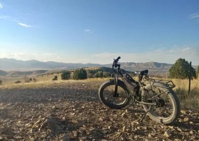 RadRover with 52V 15AH Calibike Battery